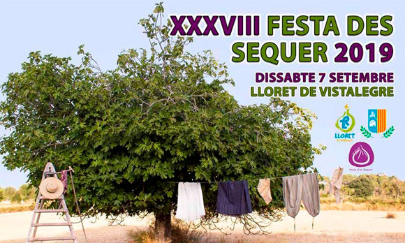 INAUGURACIÓ de l’exposició «Paisatges mallorquins», a càrrec de l’artista local Emira Myftiu. Tècnica mixta