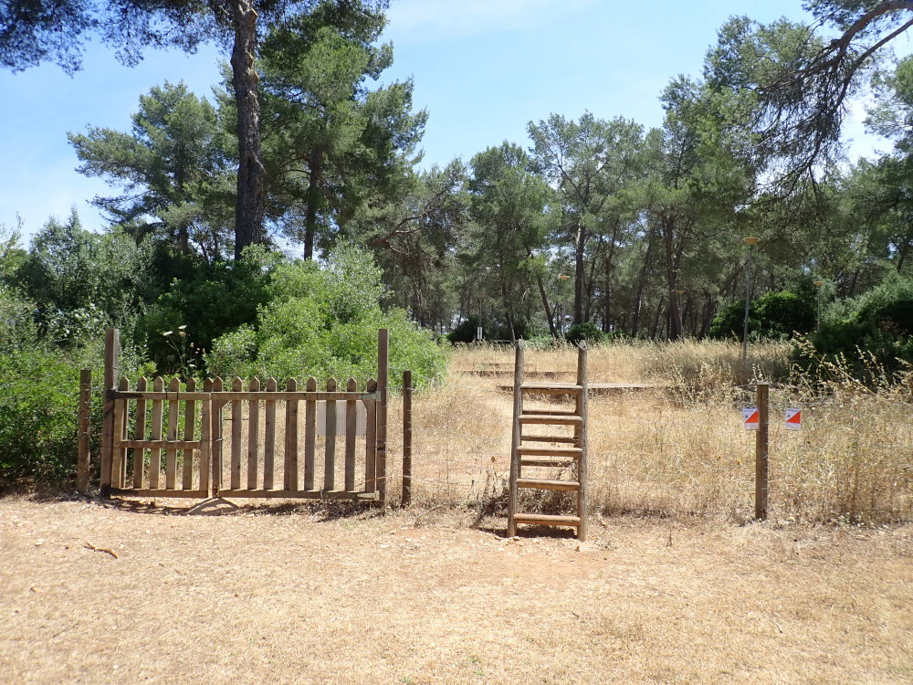 Lloret-Sortida-Arribada
