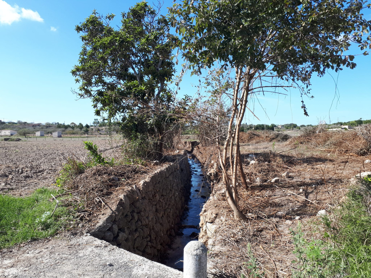  torrent de Llorac