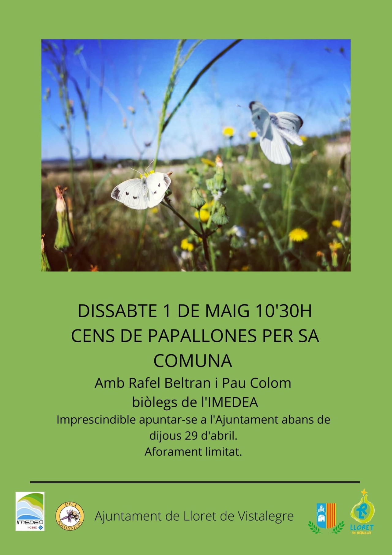 Cens de papallones per Sa Comuna