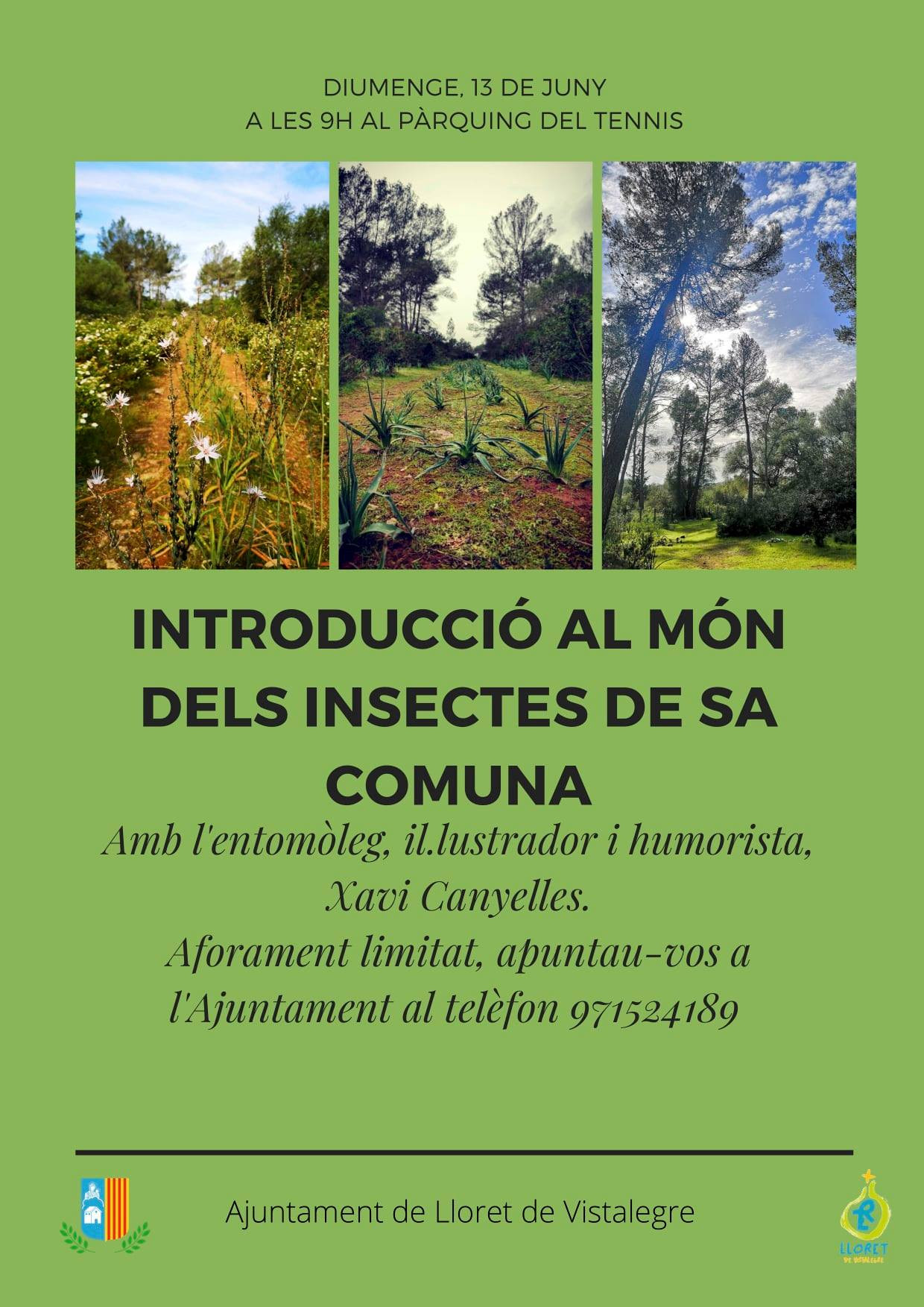 INTRODUCCIÓ AL MÓN DELS INSECTES DE SA COMUNA