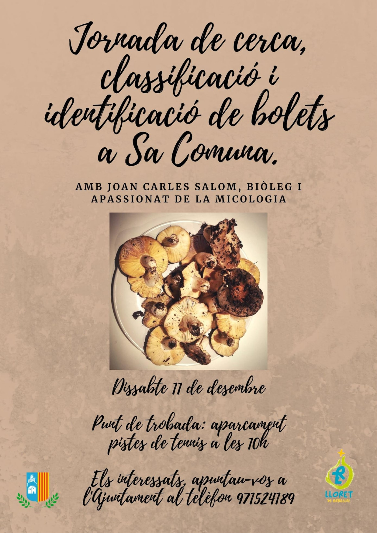 Jornada de cerca, classificació i identificació de bolets