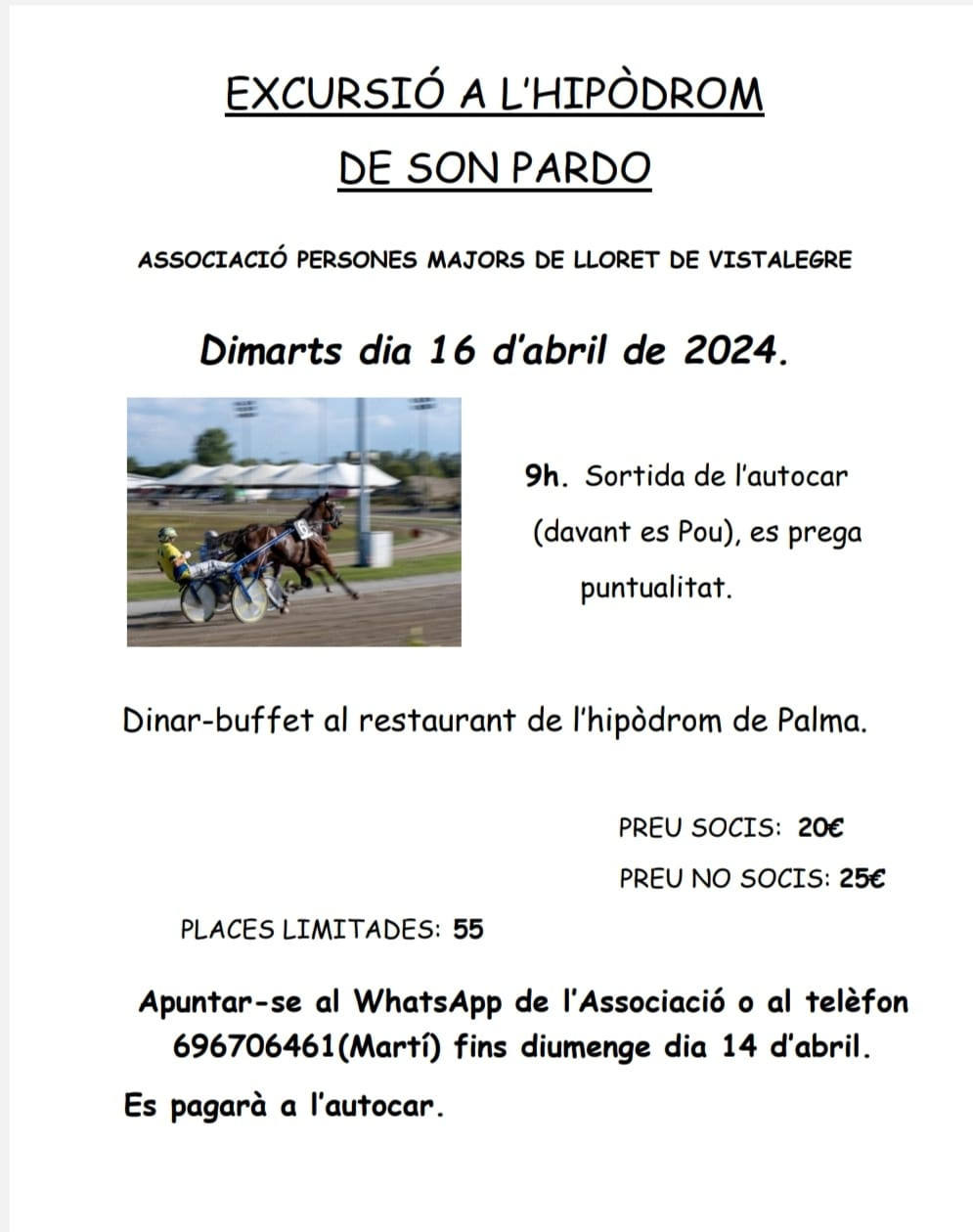 Excursió a l'Hipòdrom de Son Pardo