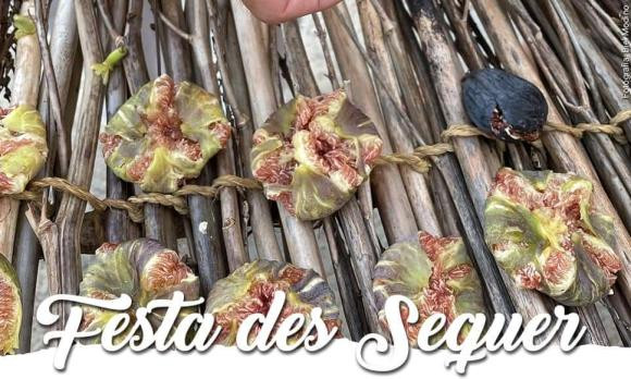 Amollada de coets i rebuda d’autoritats