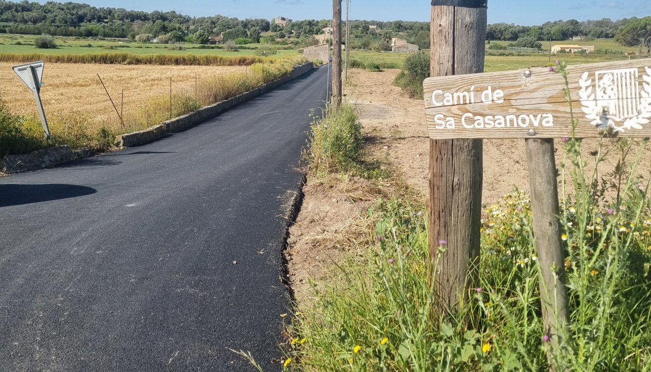 Camí esfaltat