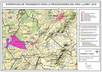 Processionària del pi